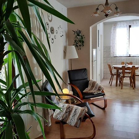 Apartment Zora - Guest House Ogulin Exteriör bild